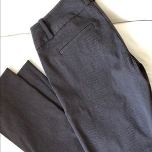 The Limited Dress Pants